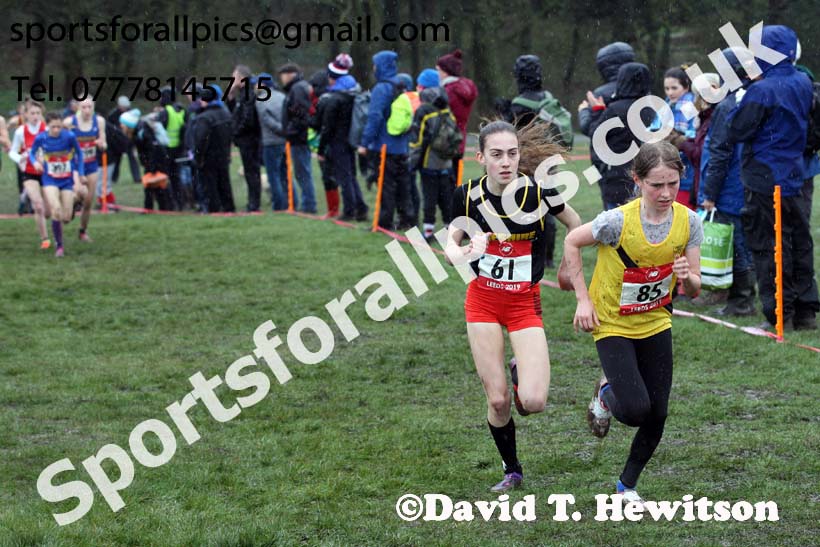 Junior girls 2019 New Balance English Schools Cross Country Champs, Temple Newsam, Leeds. Photo:  David T. Hewitson/Sports for All Pics